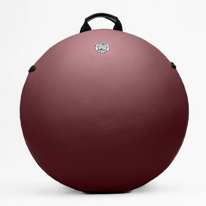 AVAYA Handpan Hardcase Light